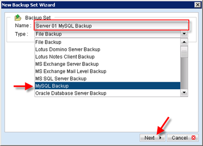 Set a name and change the backup type to MS SQL Server Backup