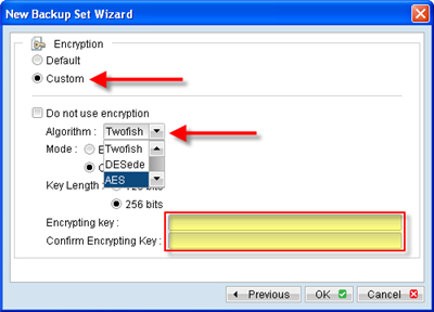 Set your encryption key to secure your data
